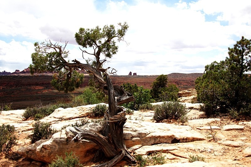  - Arches National Park