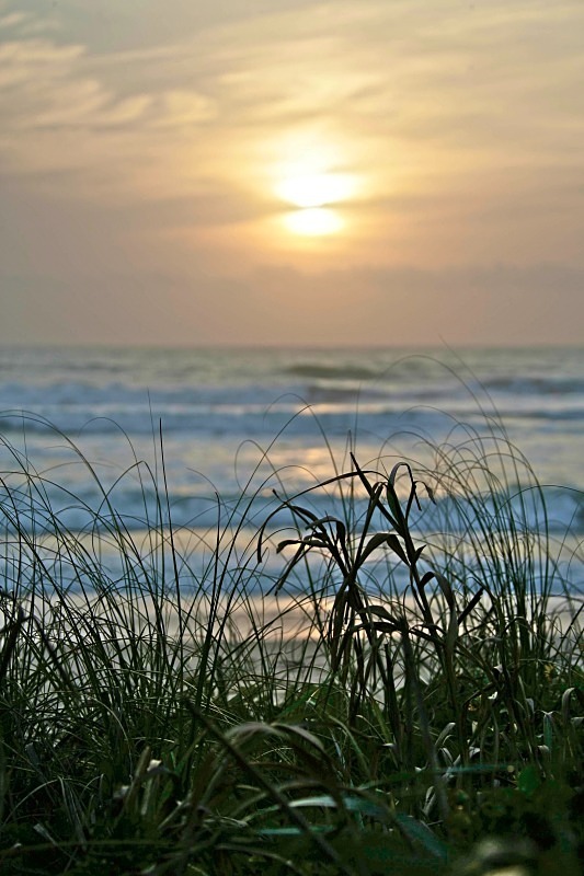 'Awakening' - of water