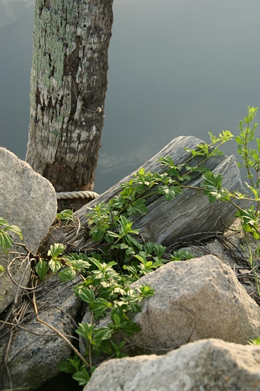 'Riverside' - views across the country
