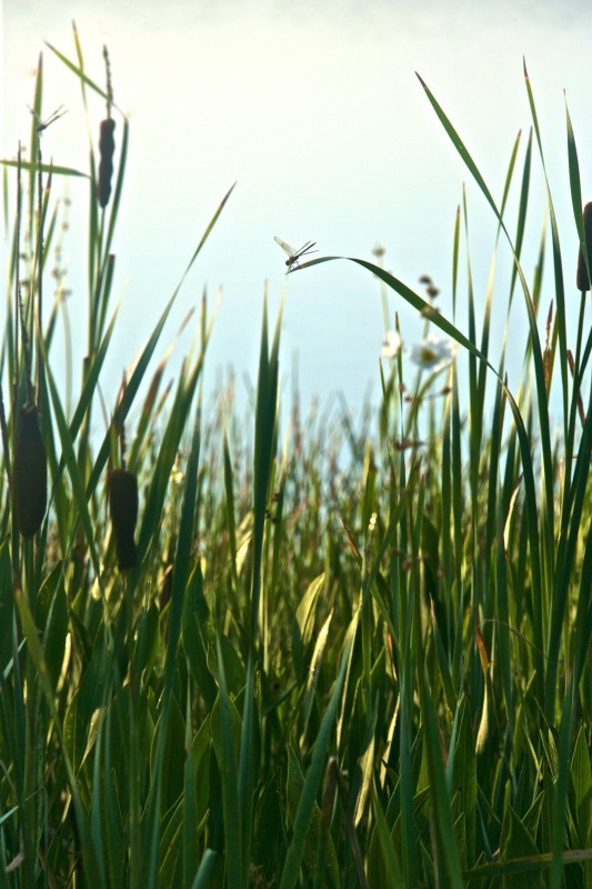'A Moment's Rest' - views across the country