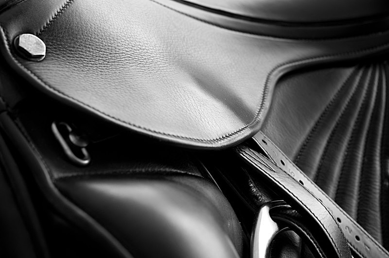 British Dressage Magazine - Commercial