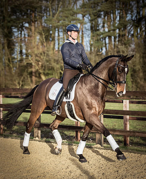 Spencer Wilton - Dressage Rider Hall of Fame