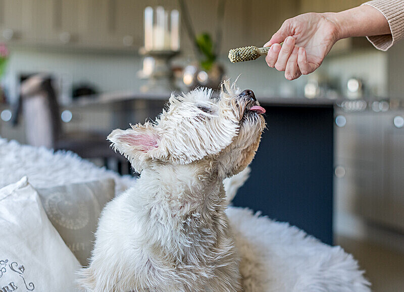 Nutri Dent dental snacks - Commercial
