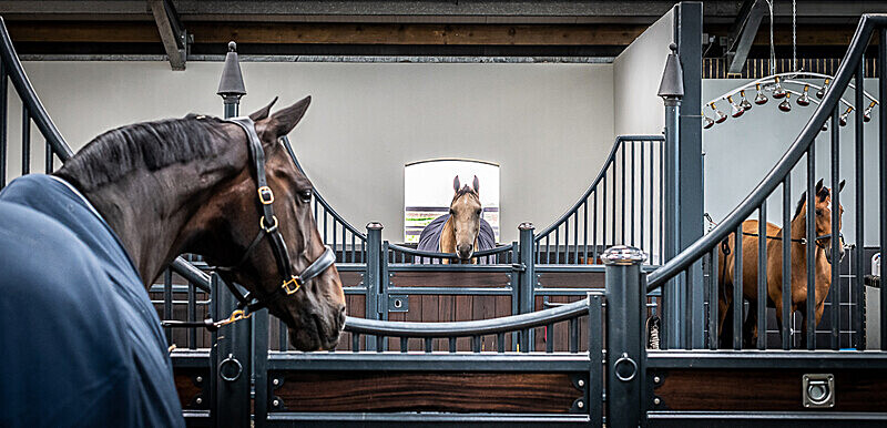  - The Cotswold Club Equestrian
