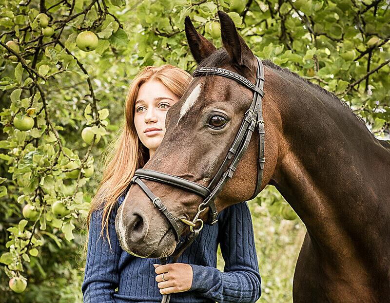  - Equine