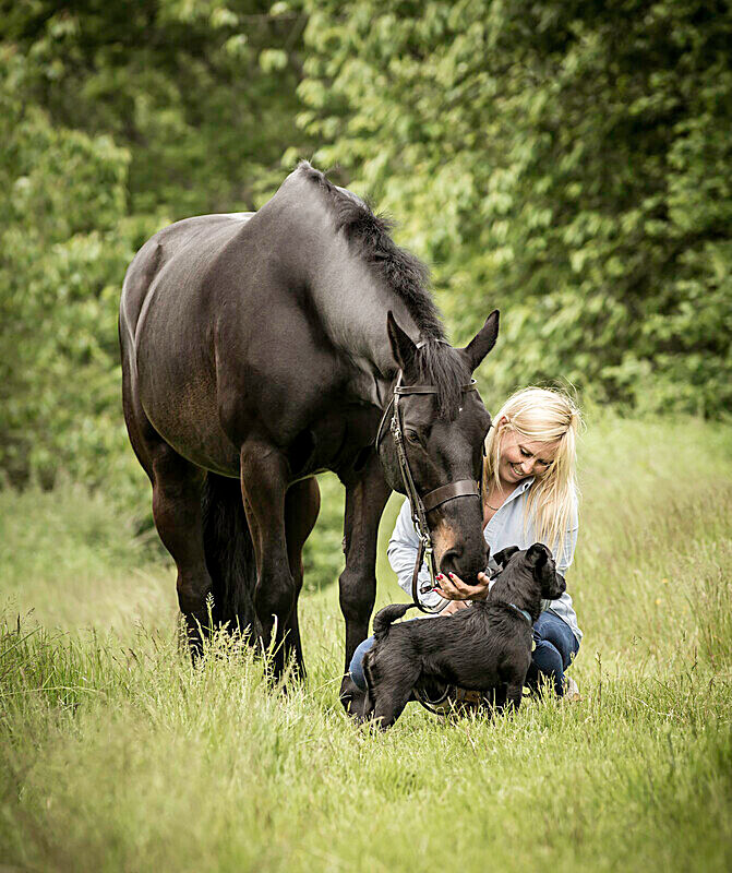  - Equine