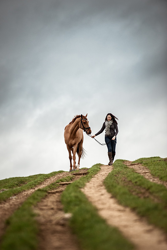  - Equine