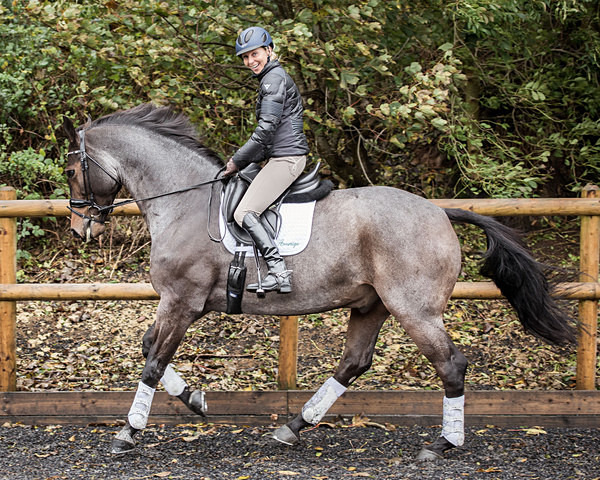 Louise Bell - Dressage Rider Hall of Fame