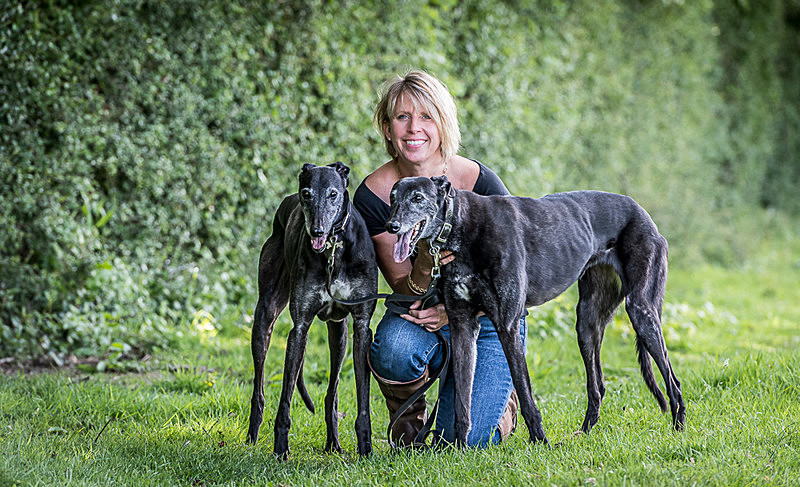 Parklands Farm Greyhound Hotel - Commercial