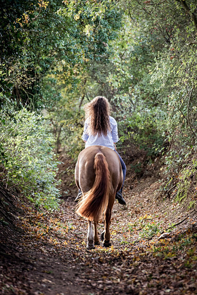  - Equine