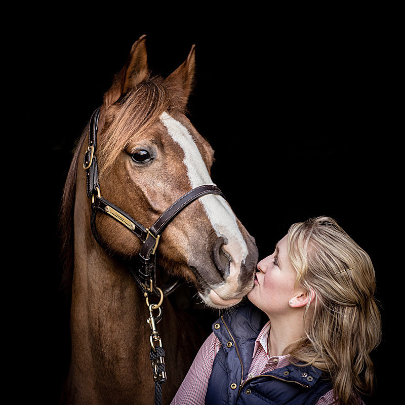  - Equine