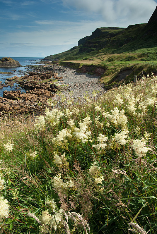 Fair Head (09070971) - County Antrim