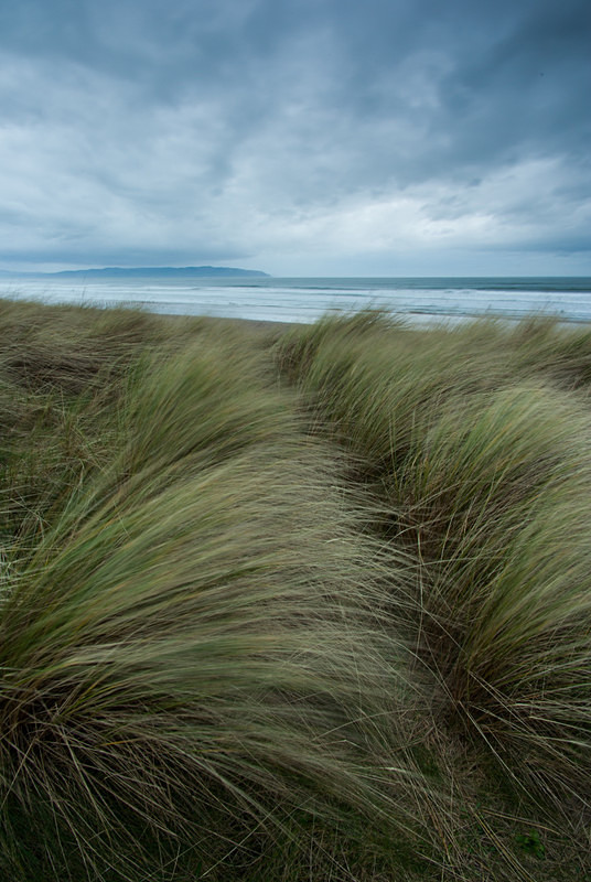 Portstewart Strand (07033578) - County Derry