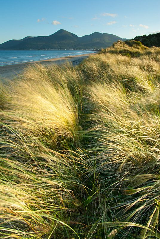 Murlough (07066920) - County Down