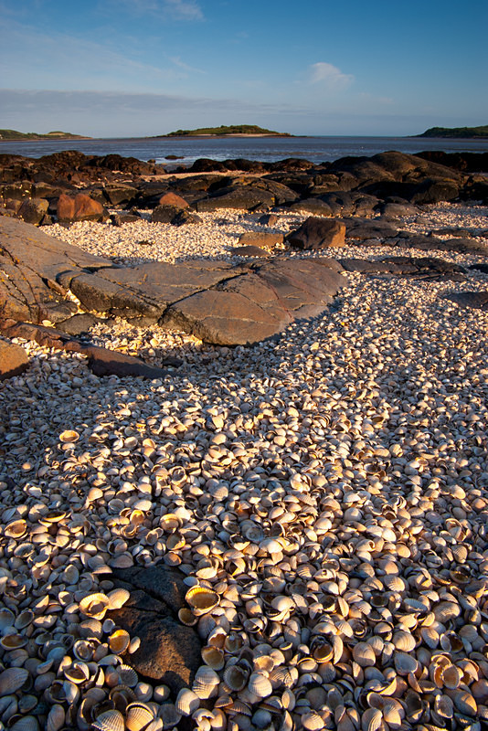 Shell Beach, Kippford (06060705) - Central and Southern