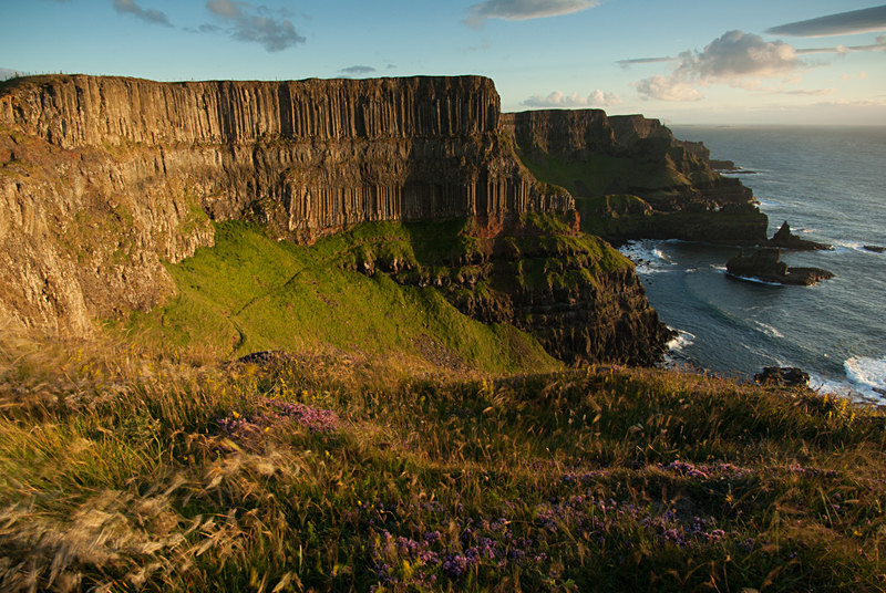 Pleaskin Head, Causeway Headlands (08060331) - County Antrim