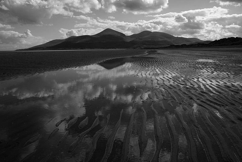 Murlough (07066890) - County Down