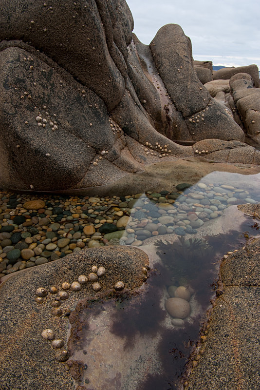 Inishowen Granite 2 (06081543) - Inishowen Grantite