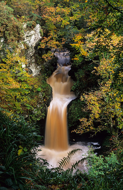 Ness Woods waterfall (S095) - County Derry