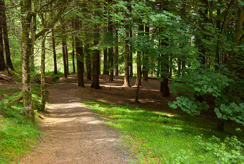 Gortin Glen (08060103) - County Tyrone