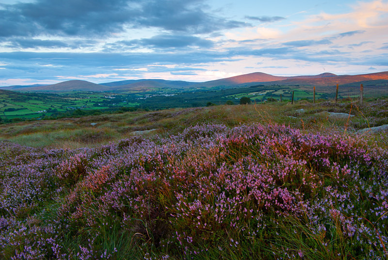 Sperrin Mountains (07087944) - County Derry