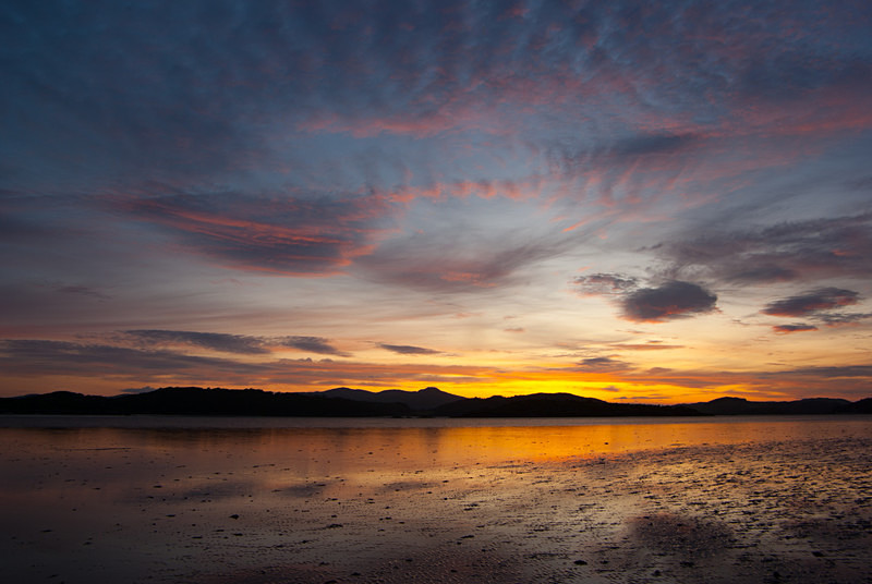 Rough Firth, Galloway (09081433) - Central and Southern