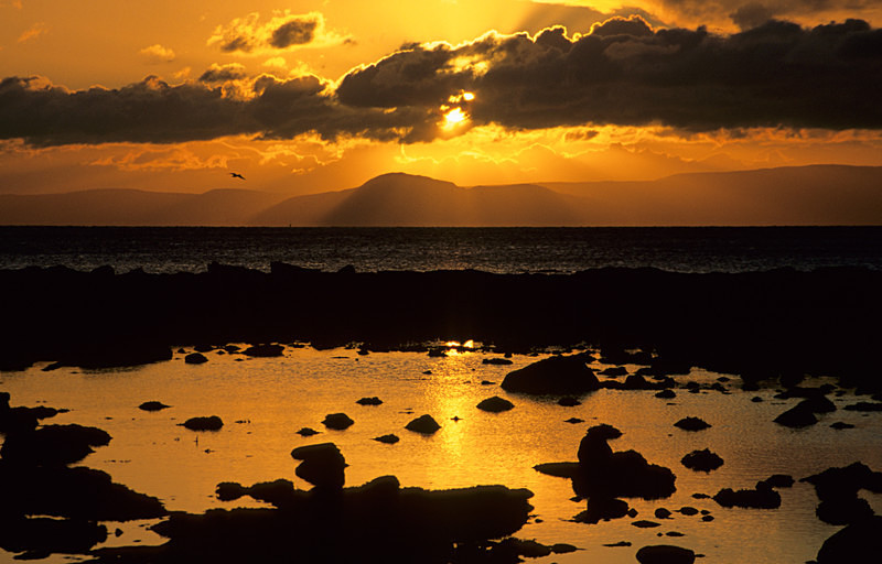 Arran and Holy Isle (S028) - Central and Southern