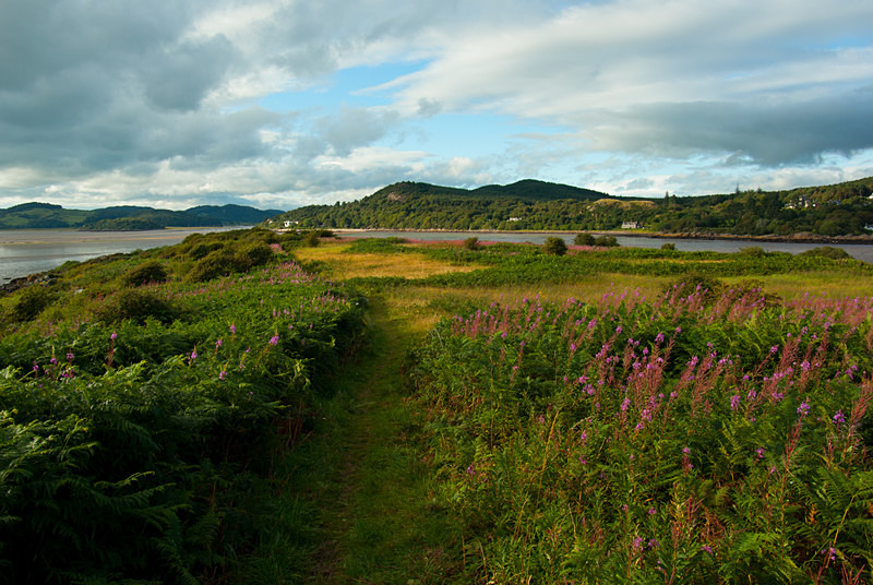 Rough Island, Kippford (11083944) - Central and Southern