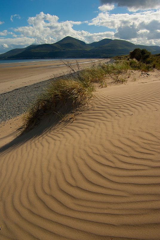 Murlough (07066904) - County Down