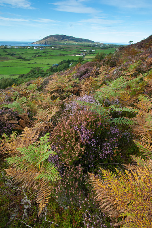 mamore Gap (07098271) - County Donegal