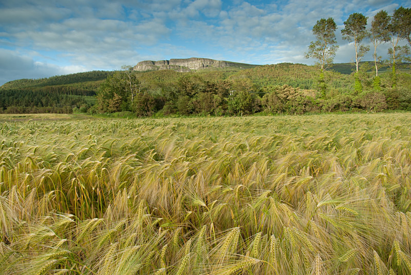 Binevenagh Mountain (11063784) - County Derry
