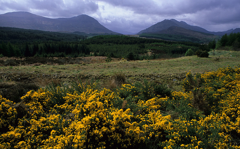 Grey Corries - Highlands