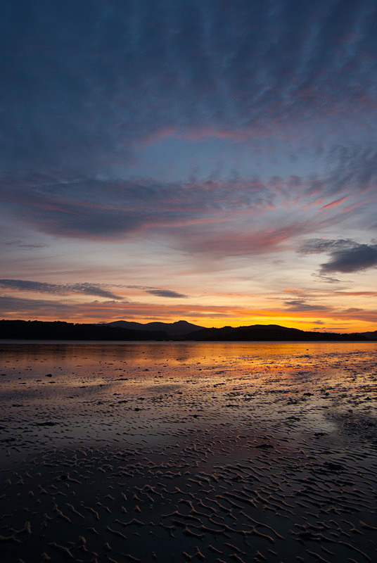 Rough Firth, Galloway (09081437) - Central and Southern