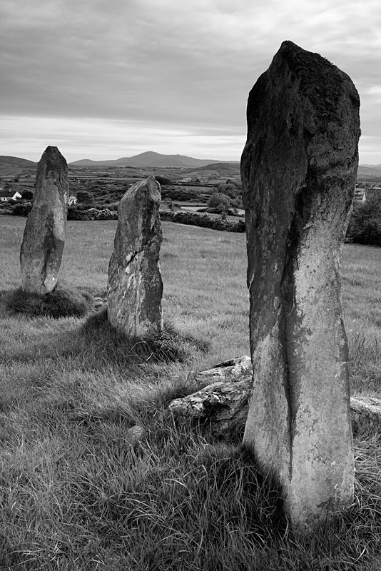Bocan Stone Circle (06050278) - County Donegal
