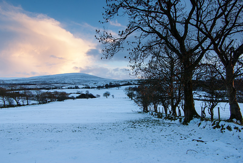Sawel mountain (09022357) - County Derry