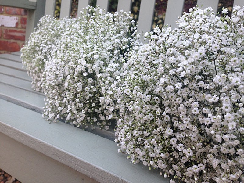  - Bridal hand tied Bouquets