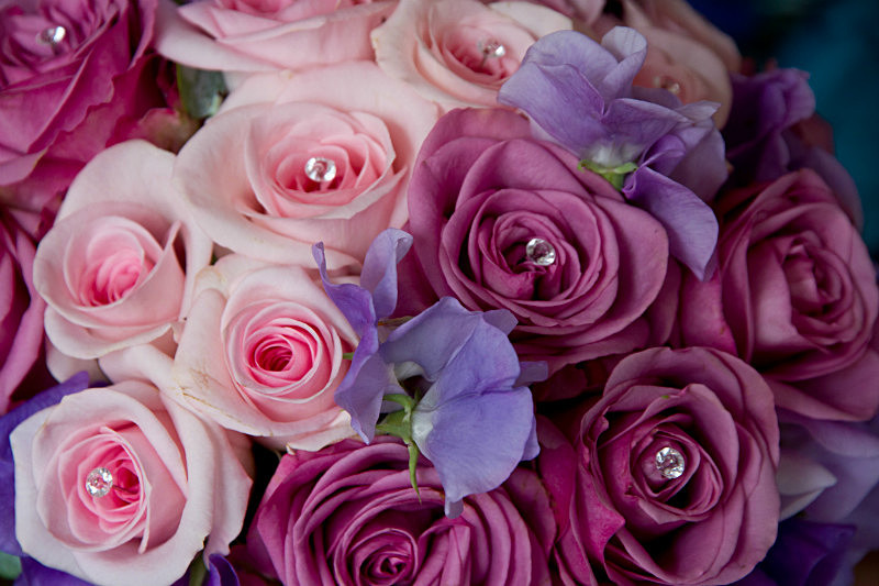  - Ingon Manor courtesy of Wedding Photography by Hannah