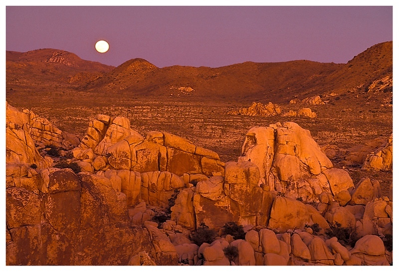  - Desert Vision