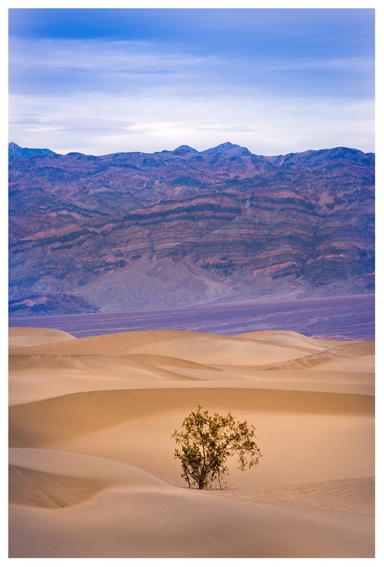  - Desert Vision