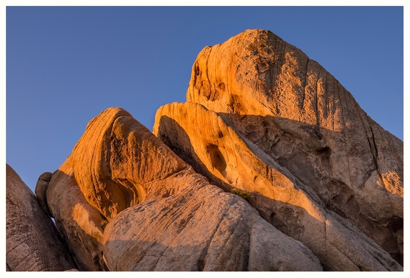  - Desert Vision
