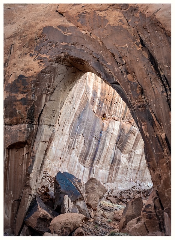  - Desert Vision