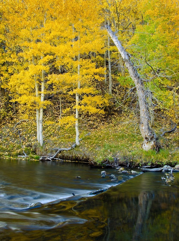Rush Creek Splendor - Mountains