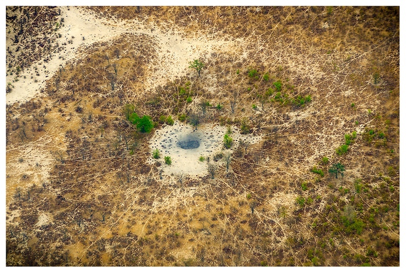 The Watering Hole - Our World