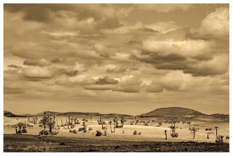 Midday at the Oasis - Our World