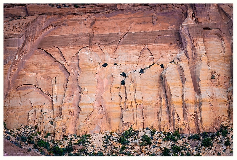  - Desert Vision