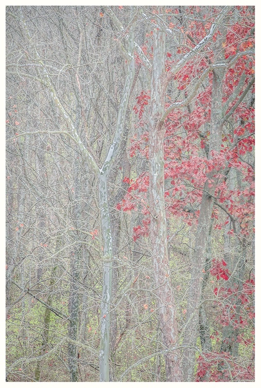 Soft Late Fall Light - Mountains