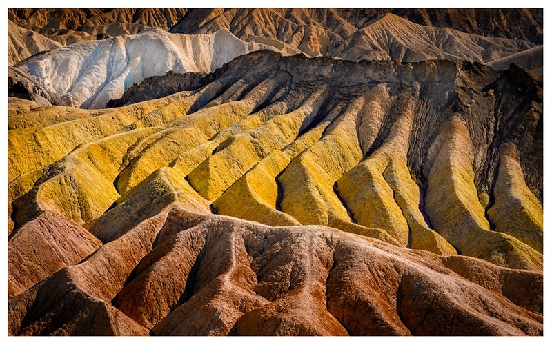  - Desert Vision