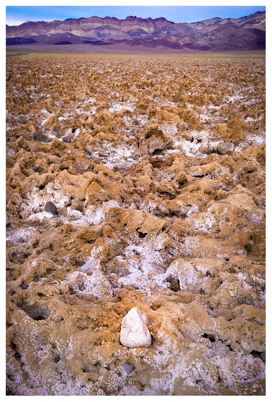  - Desert Vision