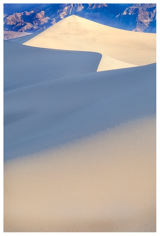  - Desert Vision