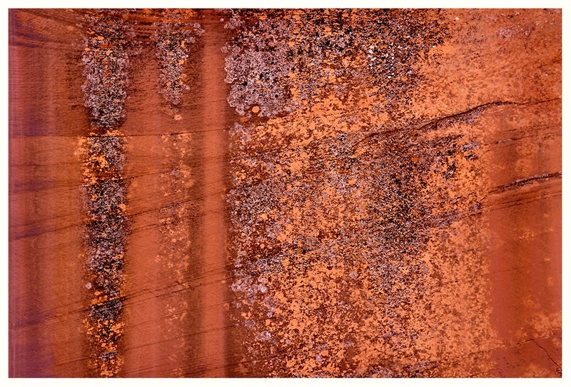  - Desert Vision